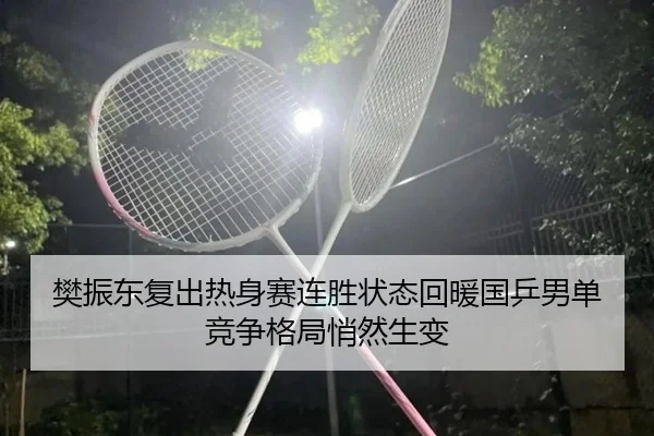 樊振东复出热身赛连胜状态回暖国乒男单竞争格局悄然生变